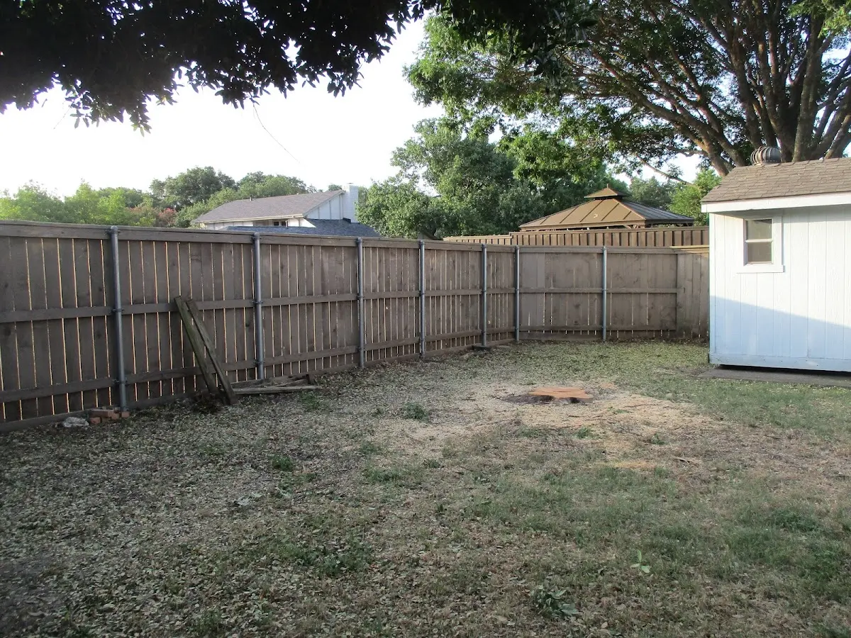 Cleared yard after professional tree removal in Clarksburg